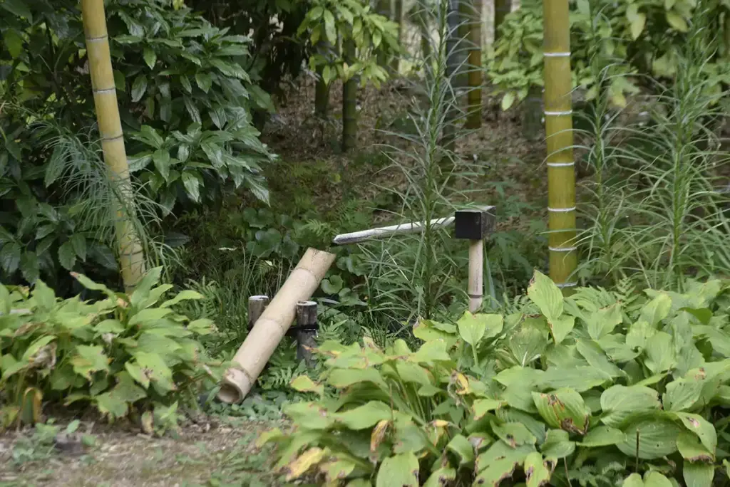 万博記念公園　日本庭園4