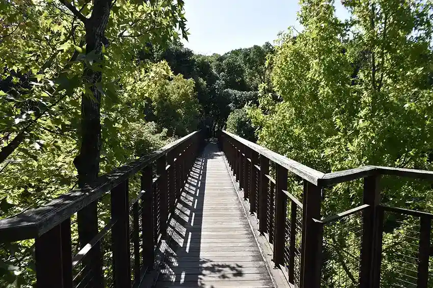 万博記念公園　ソラ―ド2