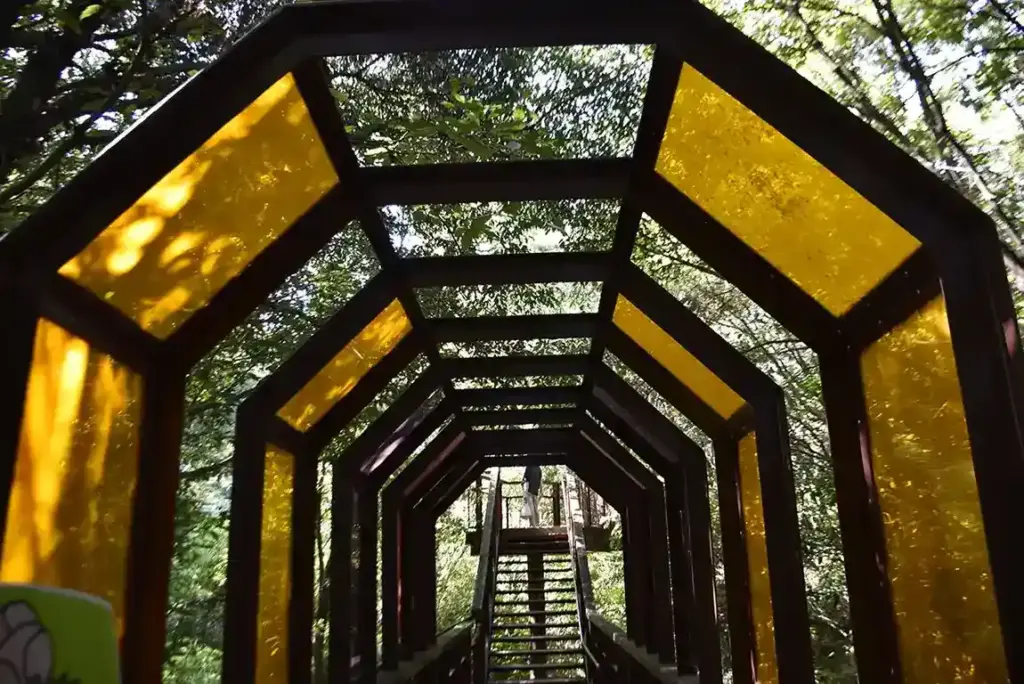 万博記念公園　色のトンネル