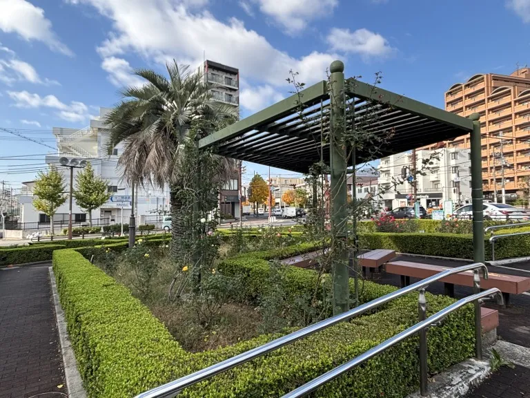 岡本交差点のバラ園