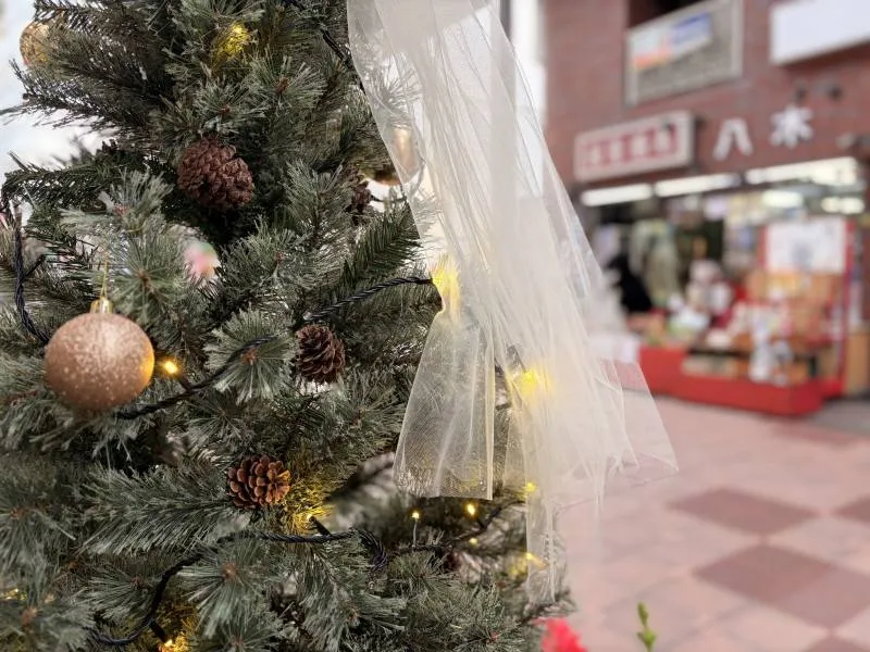 クリスマス気分を高めるお花を選びにぴったり