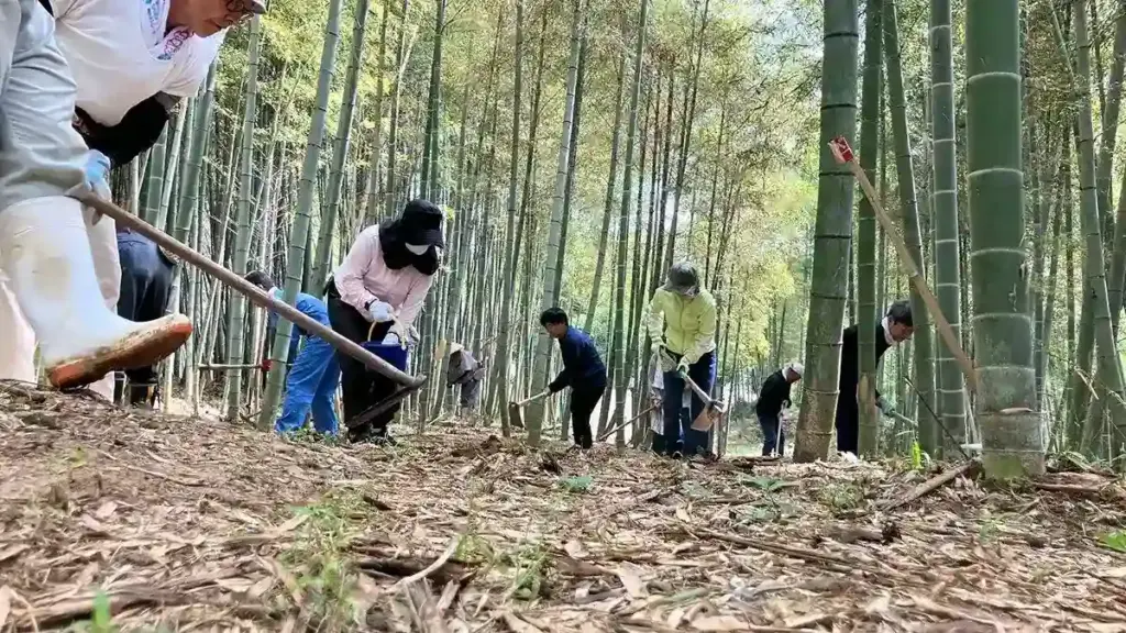 京都発・竹・流域環境ネット　竹林18