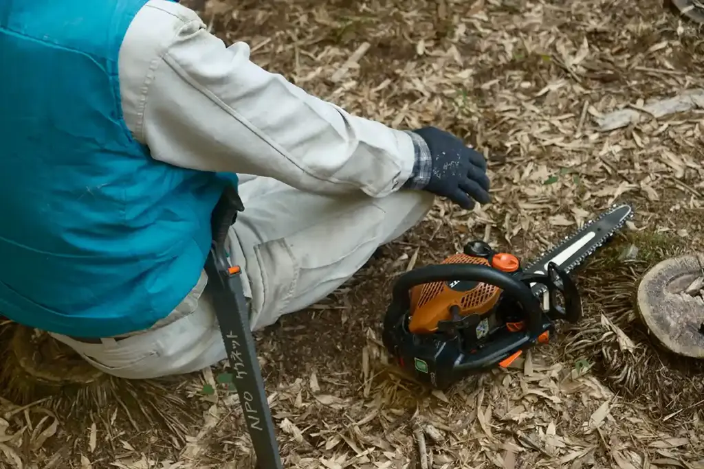 京都発・竹・流域環境ネット　竹林7