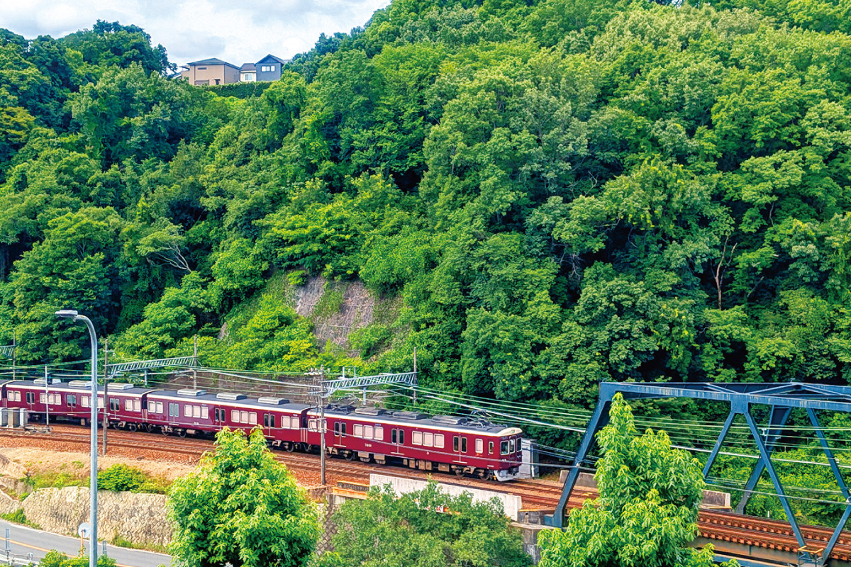カメラに収めたくなるような眺望を探そう。北急・阪急・のせでん スカイハイキング 12月13日（土）開催！