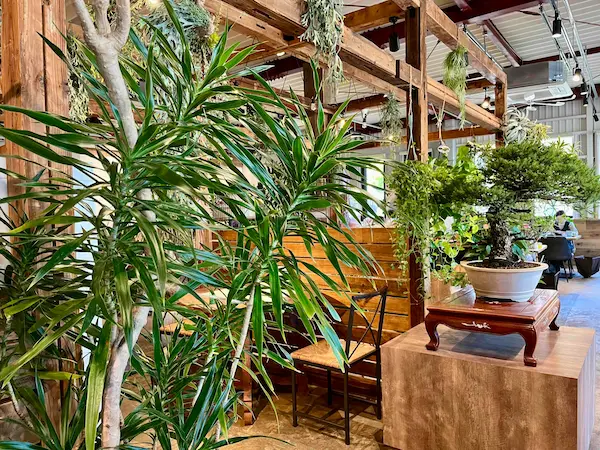 キベキッチン 良いあんばいに配置されているグリーンのおかげで心地よくお互いの視線をさえぎってくれる