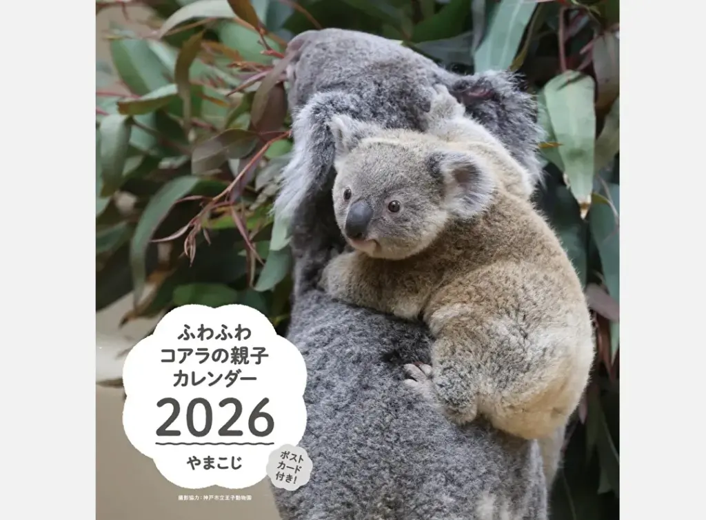 『ふわふわコアラの親子カレンダー』表紙