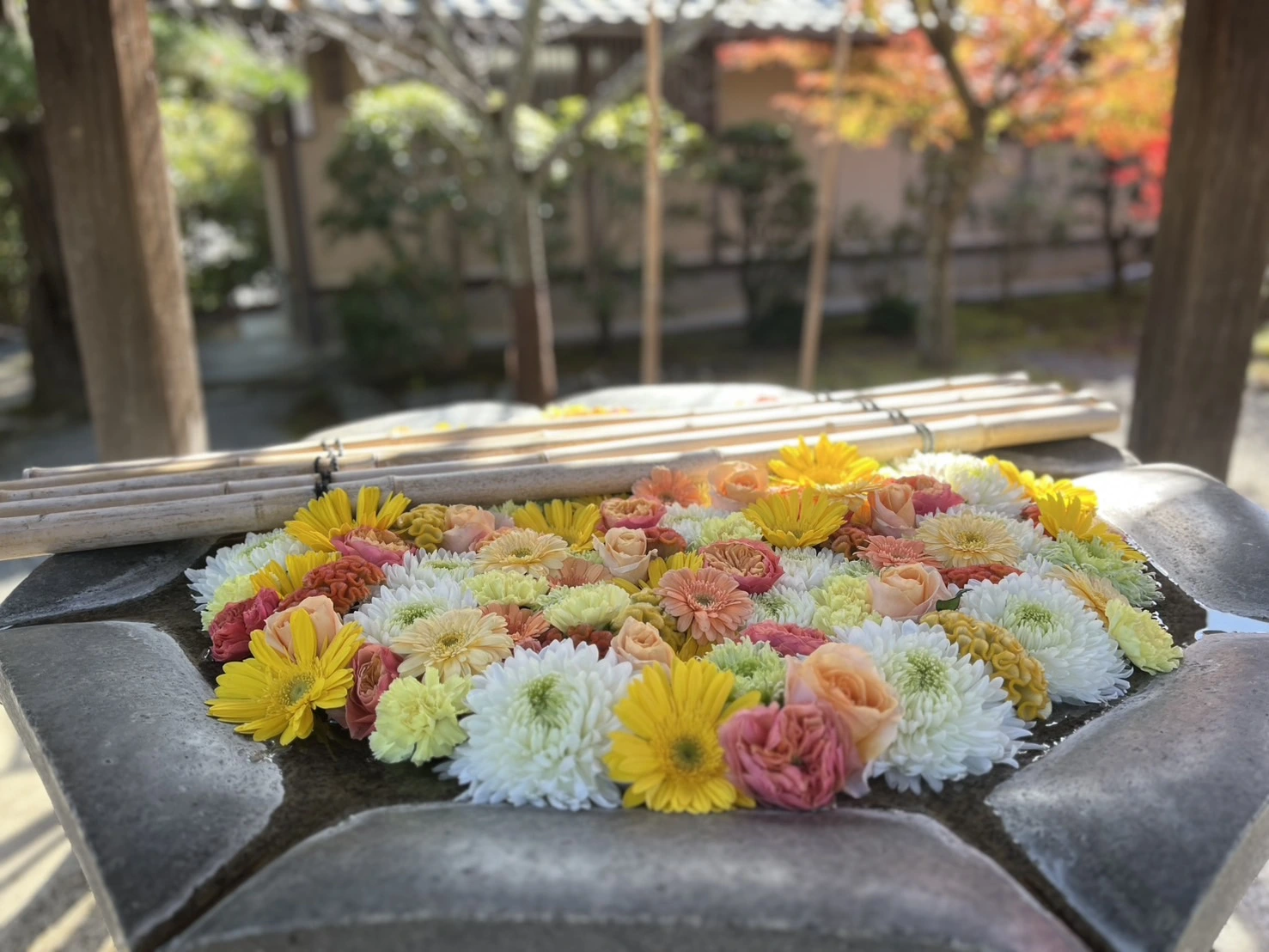 長岡京・大山崎・向日TOKK検定にチャレンジしよう！ あなたは何問正解できるかな？ 【第3回】