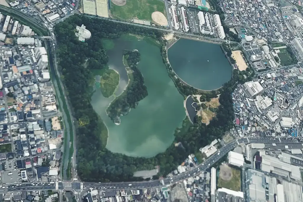 昆陽池イメージ