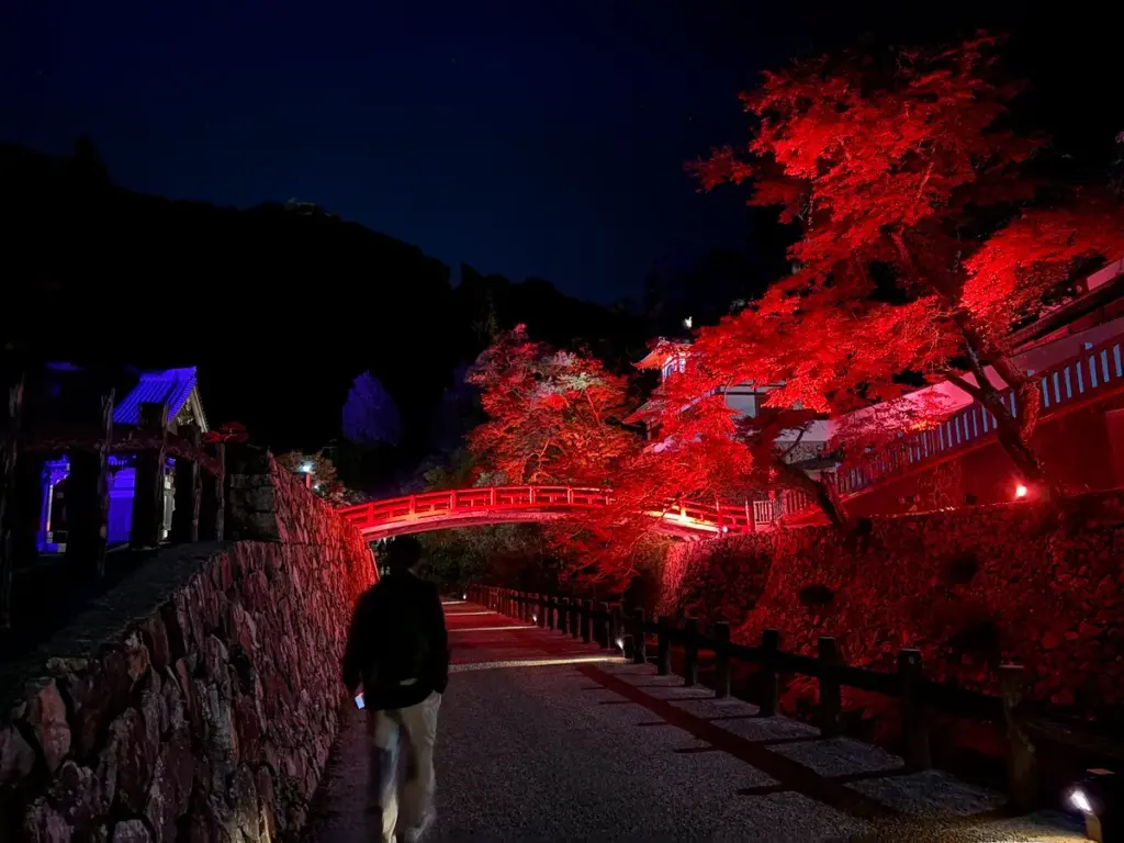 箕面公園　もみじまつり2