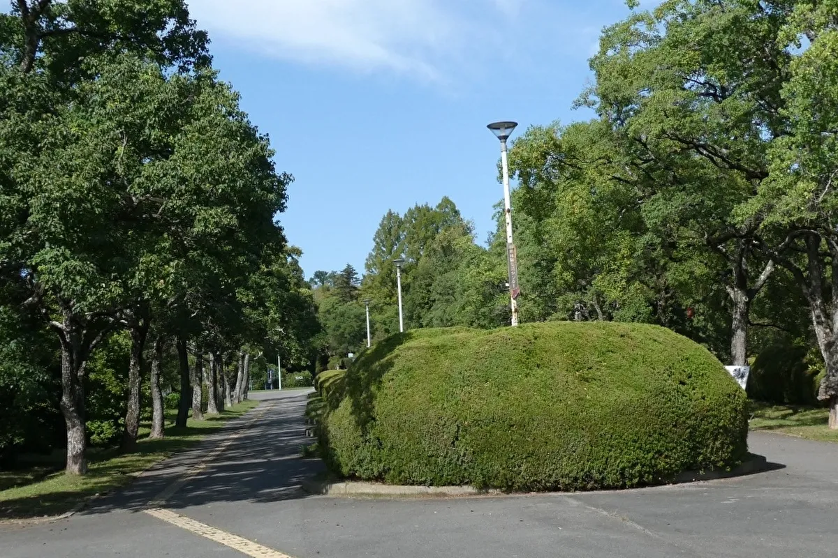 スポーツの秋を満喫！吹田「千里北公園」で、みんなで楽しめる健康イベントが開催されます！