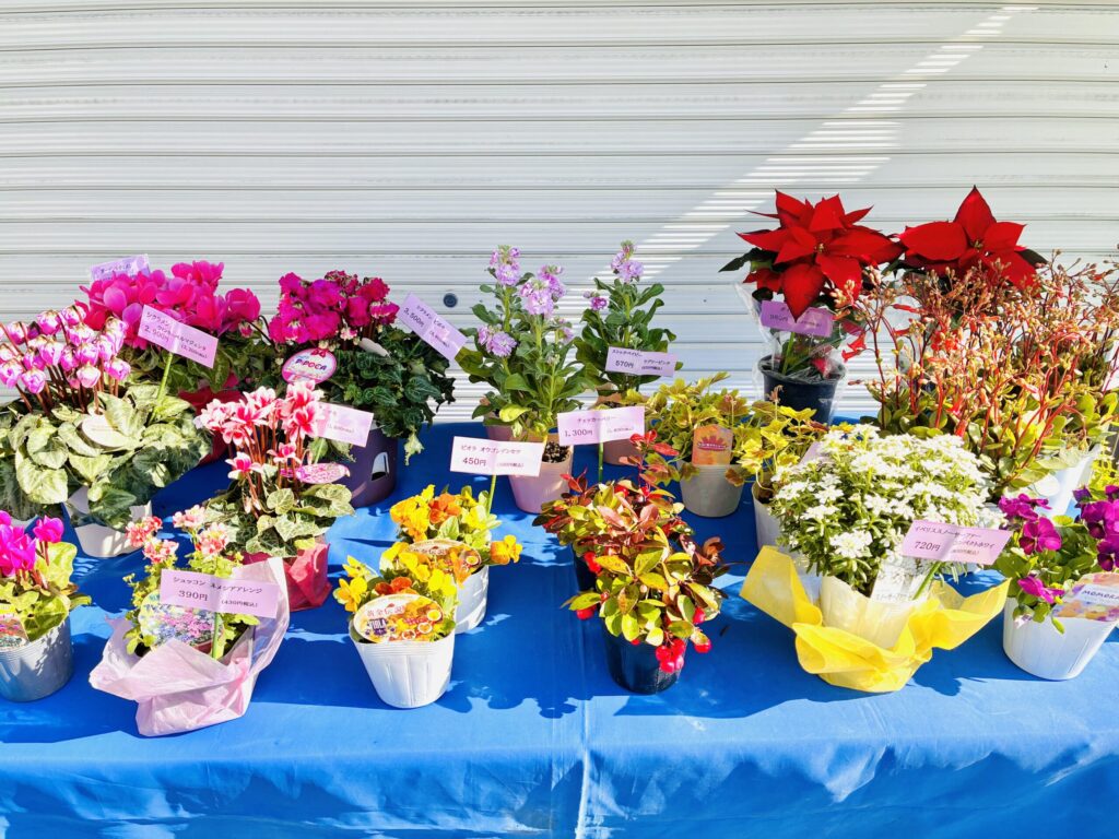 シャッター前のテーブルで出張販売、お花屋さん