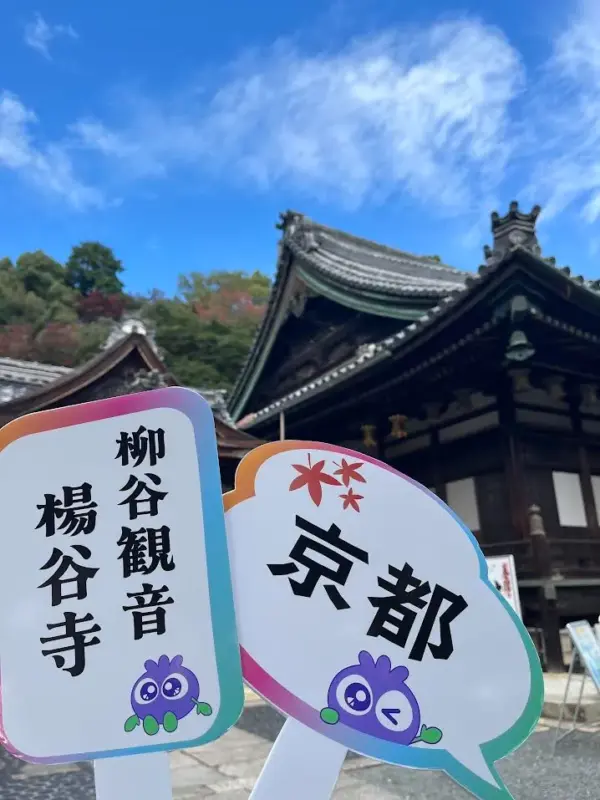 柳谷観音 撮影アイテム