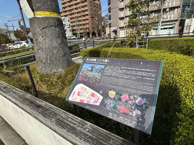 岡本交差点のバラ園 案内板