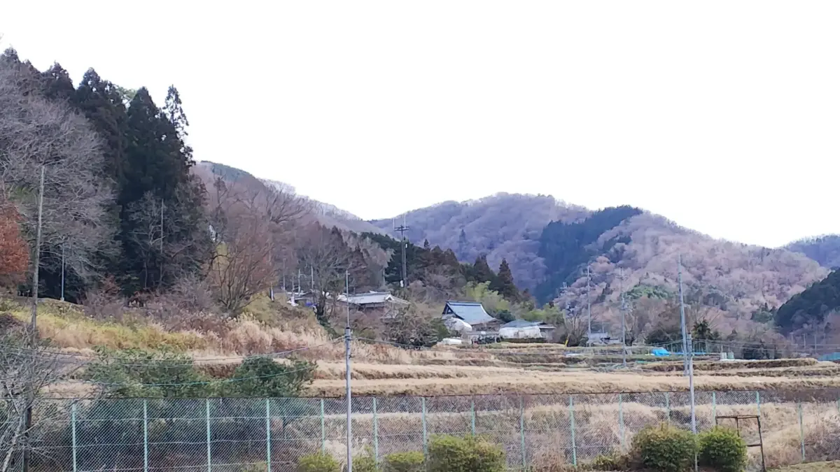 【川西・黒川】“好き”が育つ場所。日本一の里山でのびのび過ごす「里山スクール」