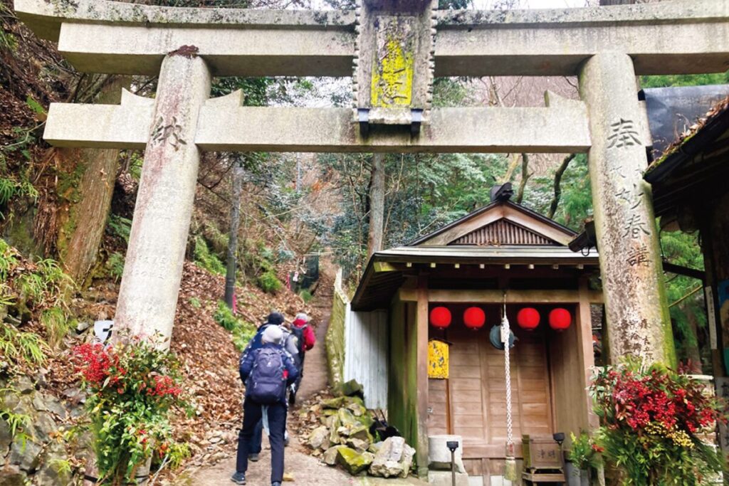 のせでんお正月ハイキング。お正月は山歩きで能勢妙見山へ「新滝道から能勢妙見山・上杉尾根コース」