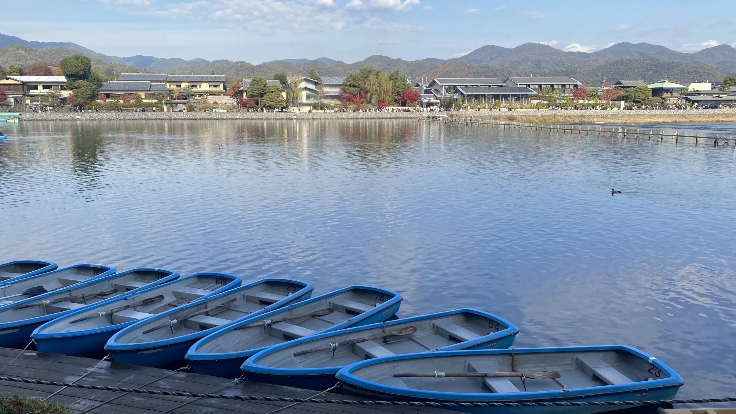 嵐山で楽しむ川の時間 — 青いボートで桂川を遊覧“手漕ぎボート”