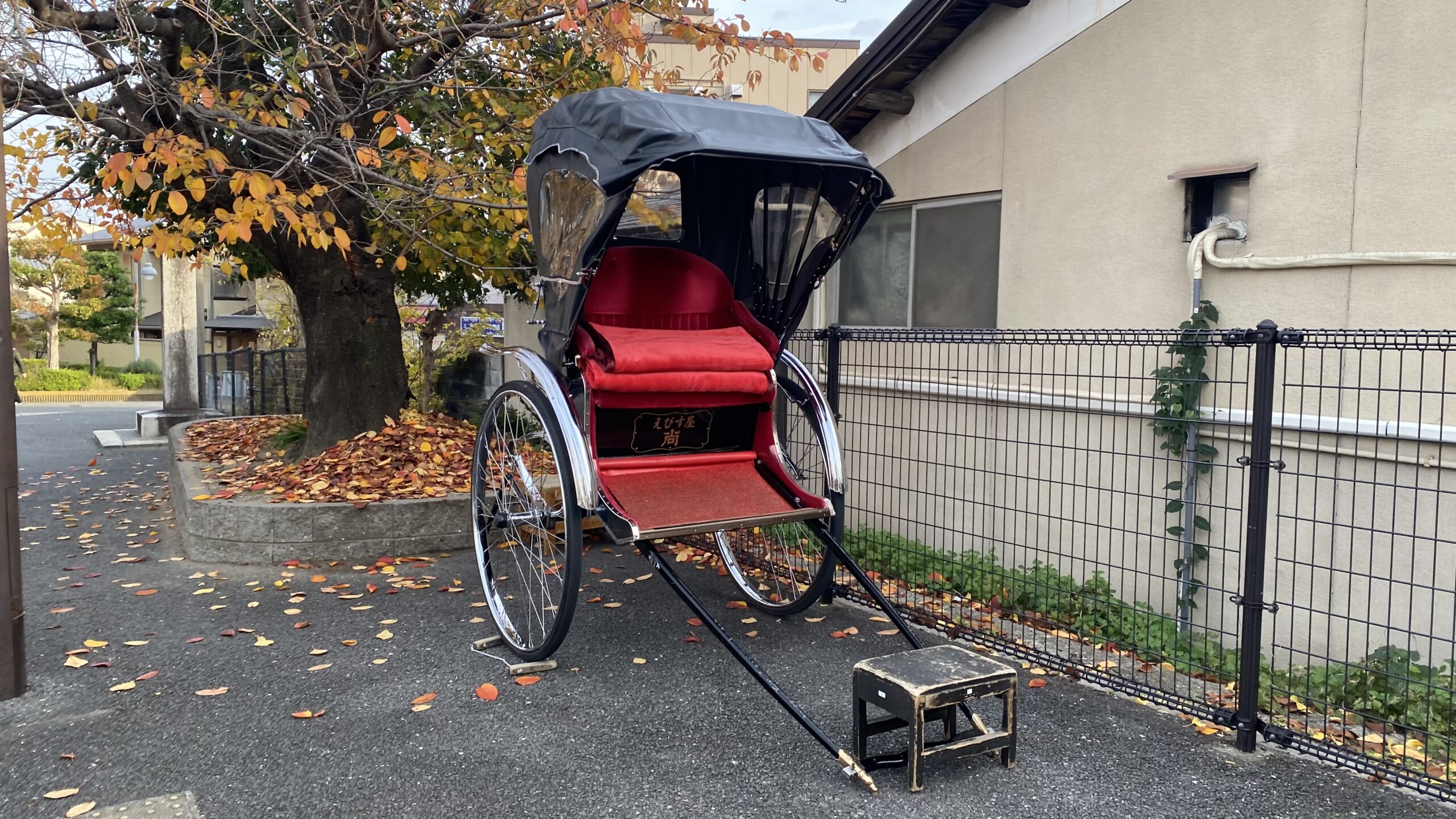 嵐山で味わう特別な時間。えびす屋の“人力車”で巡る、竹林の絶景