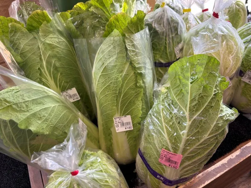 ほく彩館 白菜