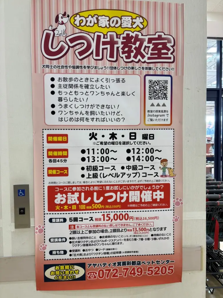 ayahadioしつけ教室
