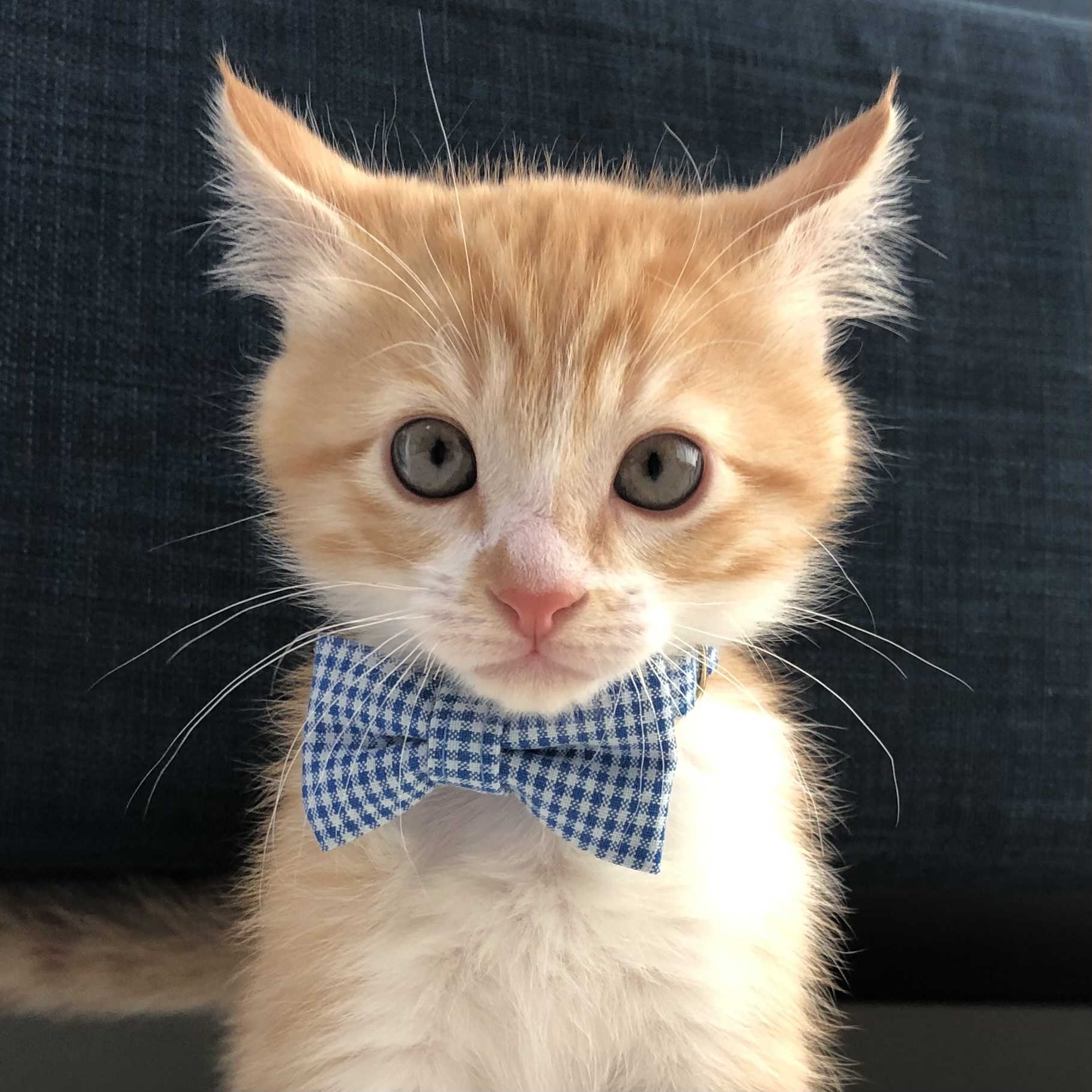 読者とのInstagram投稿一覧の使い方について