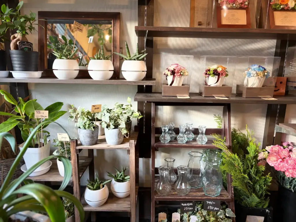 「サンクキャトル」の多肉植物の棚