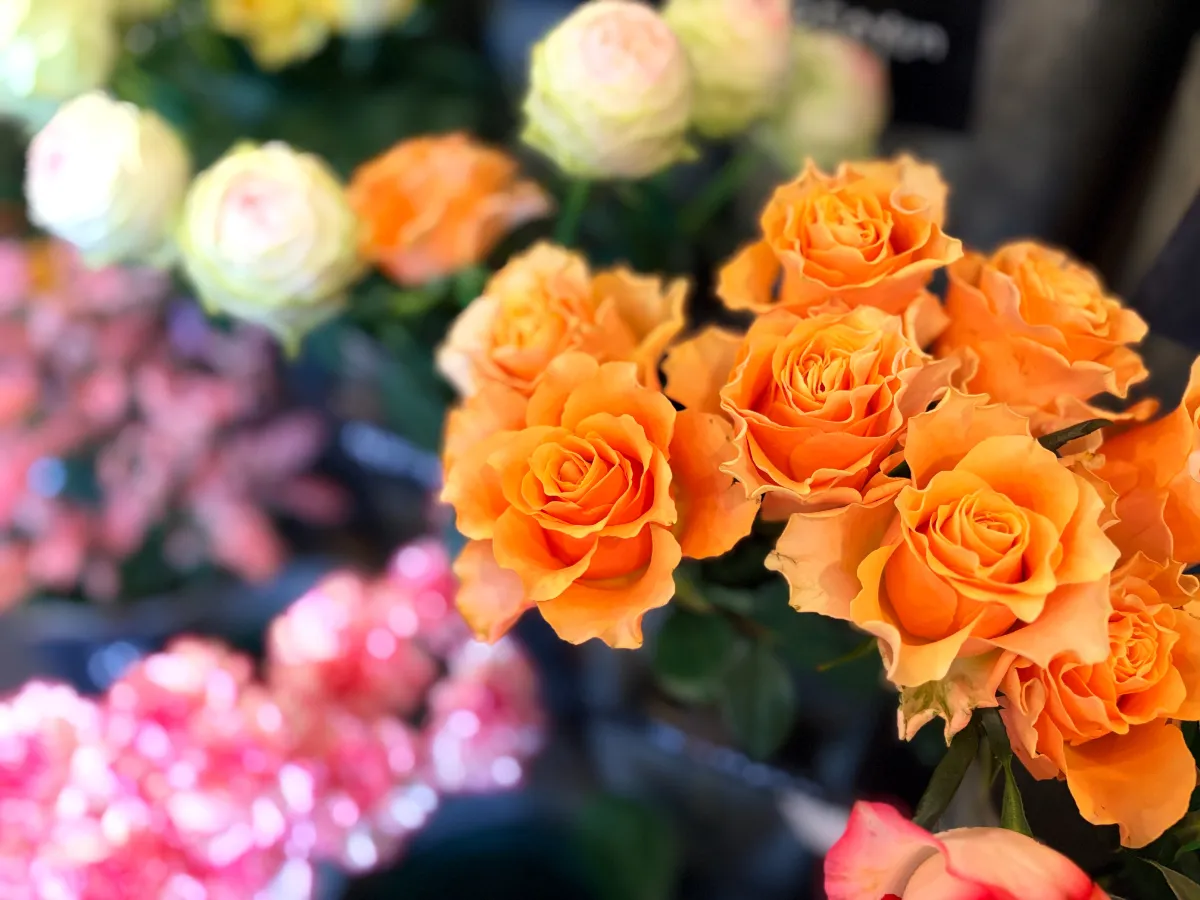 心癒されるお花とグリーンのご褒美を「cinq-quatre」尼崎市三反田