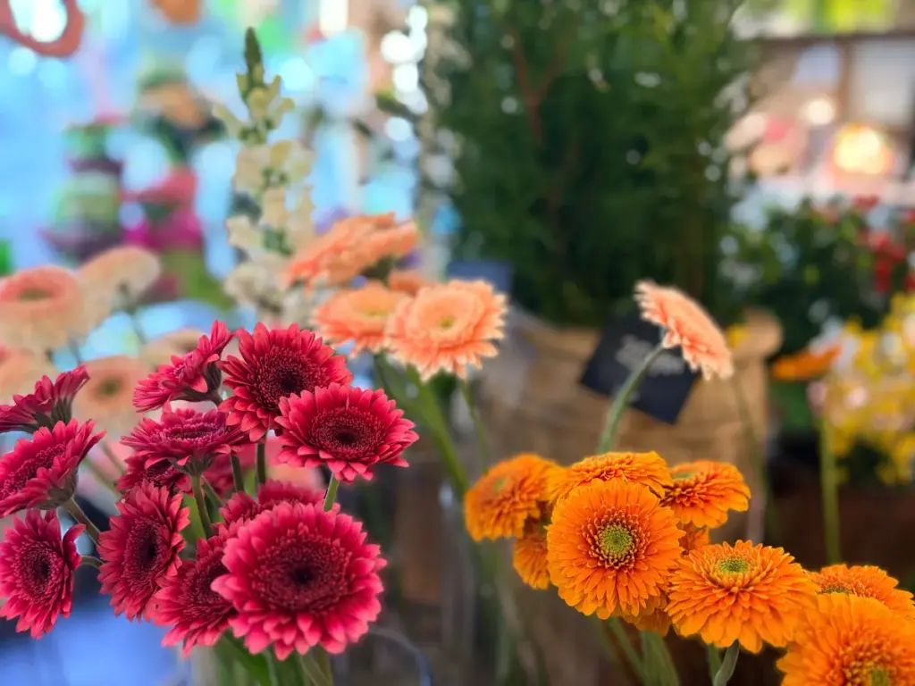 「サンクキャトル」の切り花