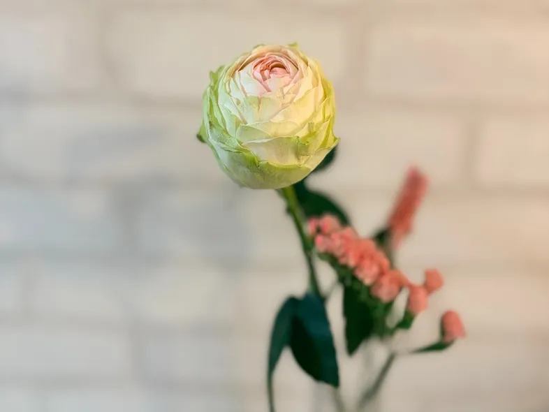 「サンクキャトル」で購入した花で一輪挿し