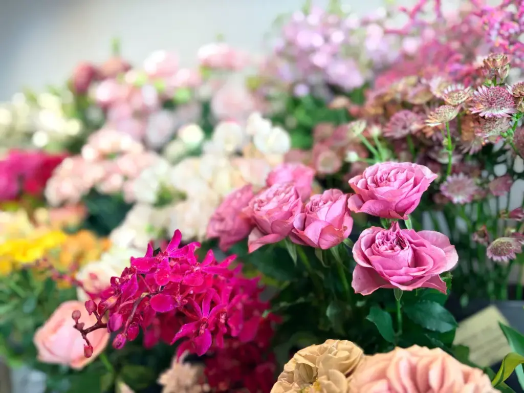 「プラム」の切り花