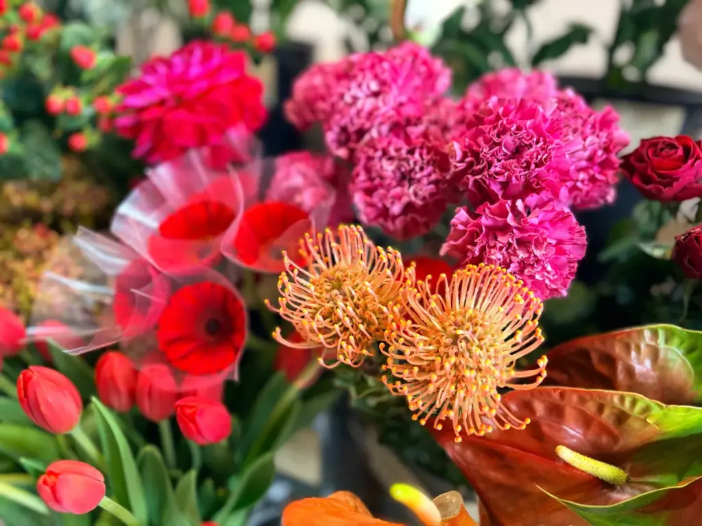 「プラム」の鮮やかな切り花