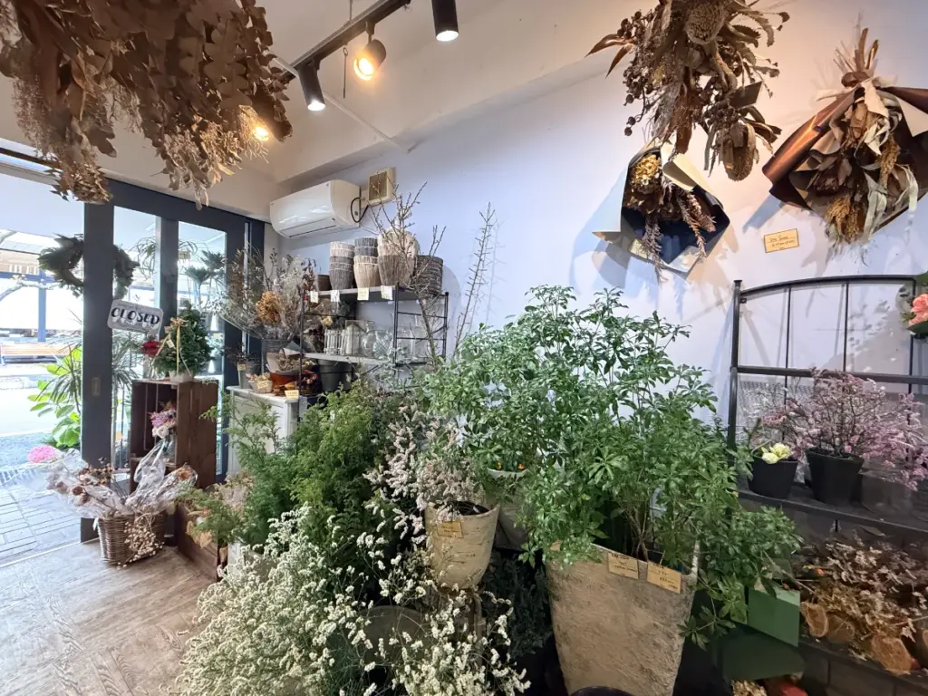 「プラム」のグリーン