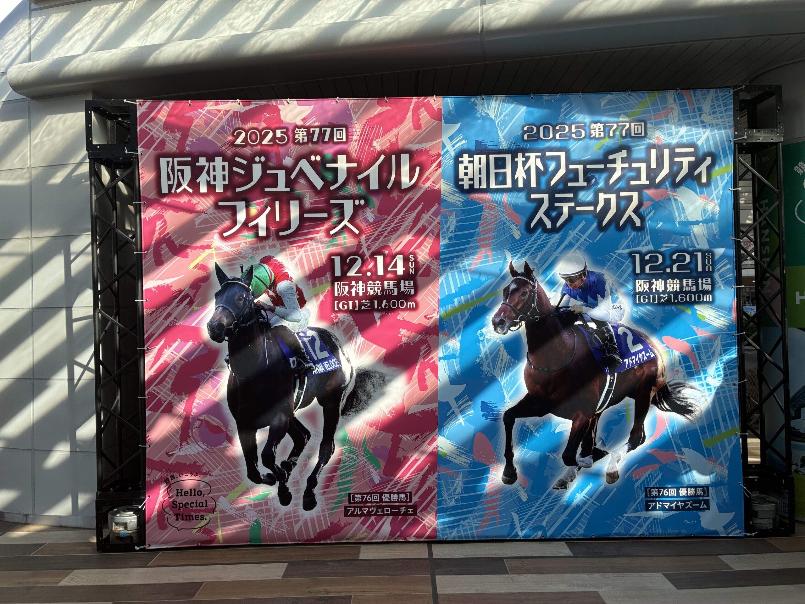 ゆうちゃみが阪神競馬場来場！12月21日朝日杯フューチュリティステークス（GⅠ）で勝利の女神となってくれるか？！