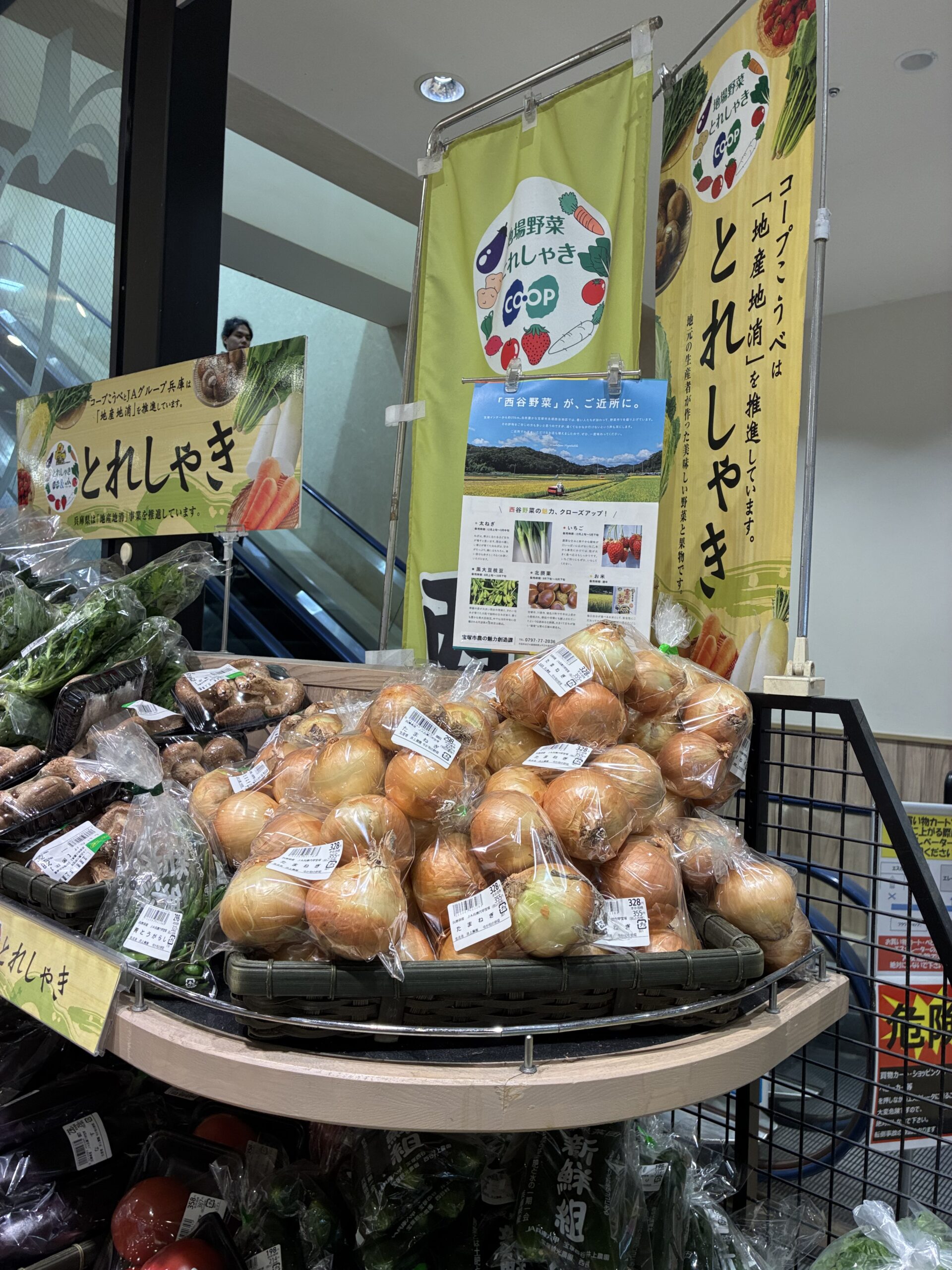 元気な西谷野菜を仁川コープで発見。他にも市内各所で産直販売しています。冬のお鍋やごちそう、おせちに活躍しそう。