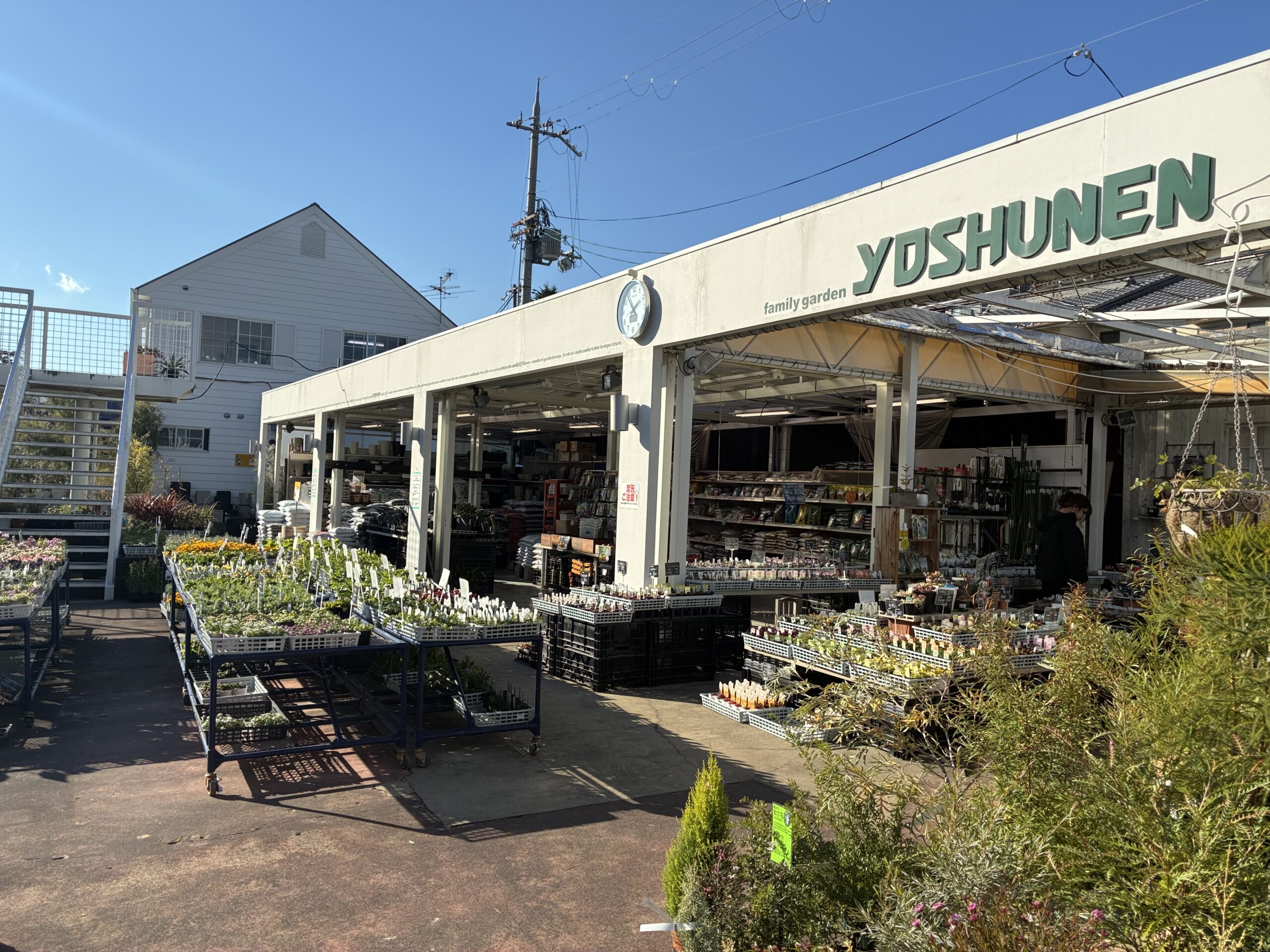 年内、園内売り尽くし！園芸ファンは宝塚にある陽春園の歳末セール、見逃せません。