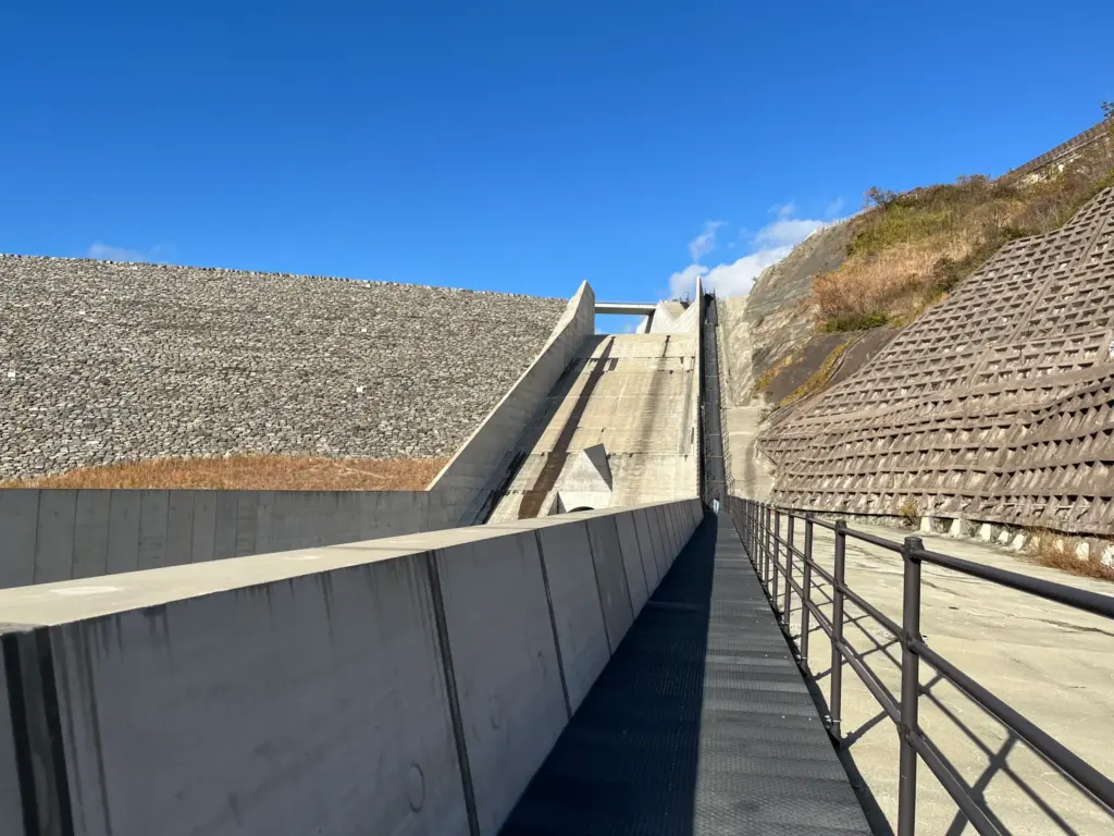 ダムパーク風の丘ゾーンからの階段