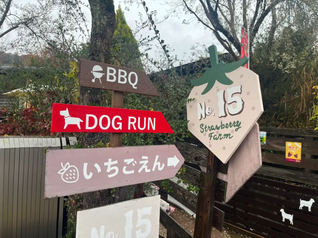 【茨木】Strawberry Farm No.15のいちご摘み体験レポ