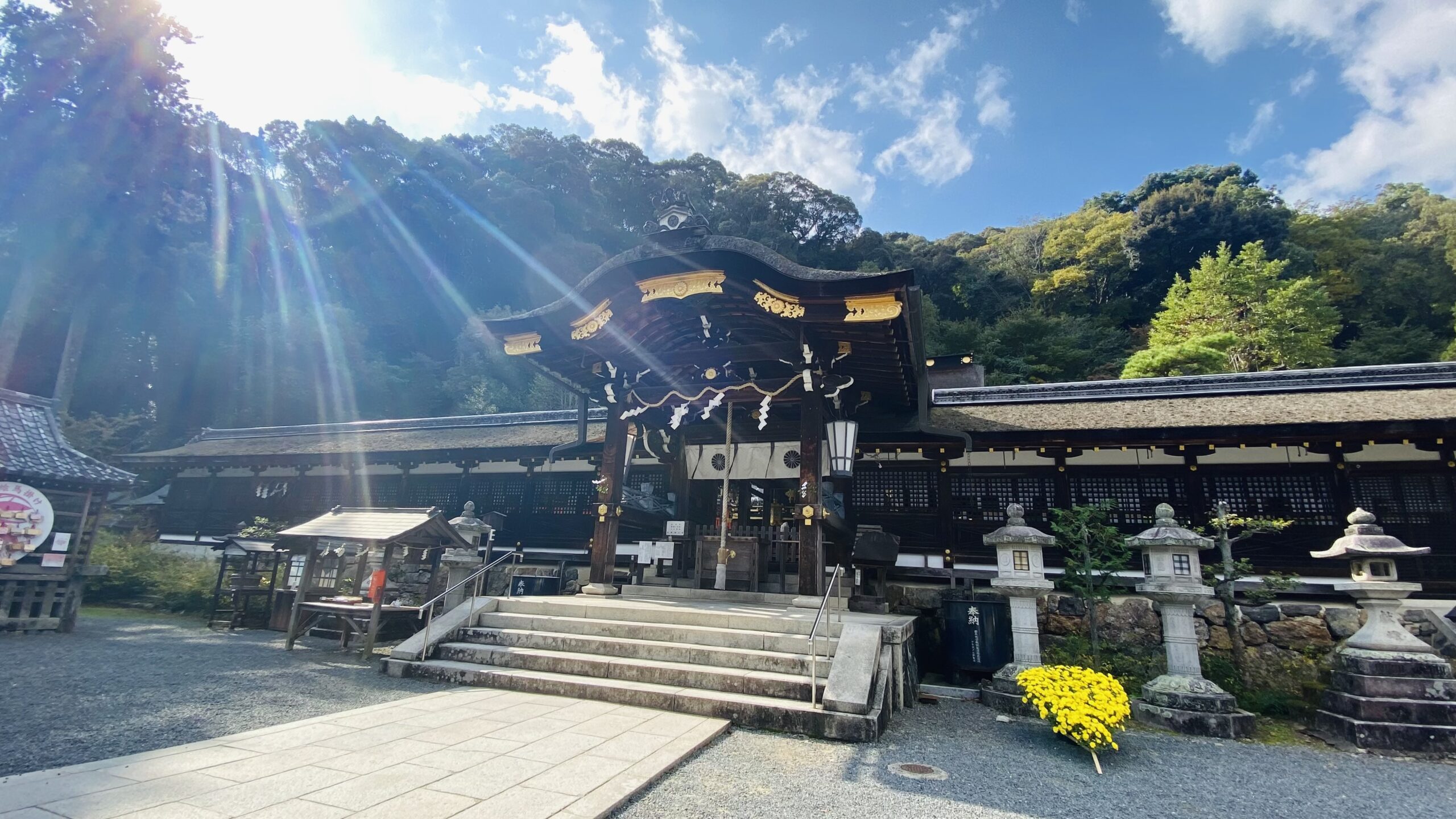 京都最古級の神社・松尾大社の魅力を徹底紹介！歴史と自然を感じる参拝体験