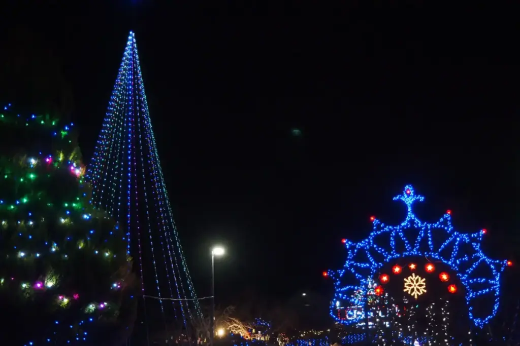 大和夢ナリエイルミネーション