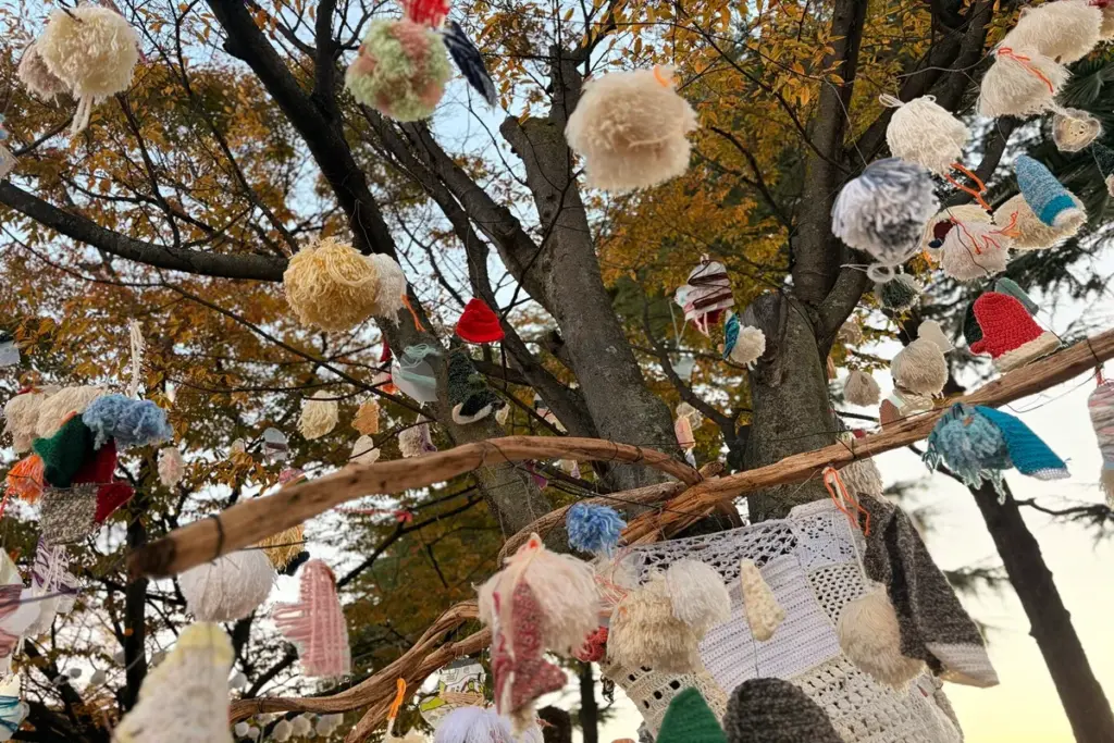 「amuamu」の作品。ボンボンが木にぶらさがってる