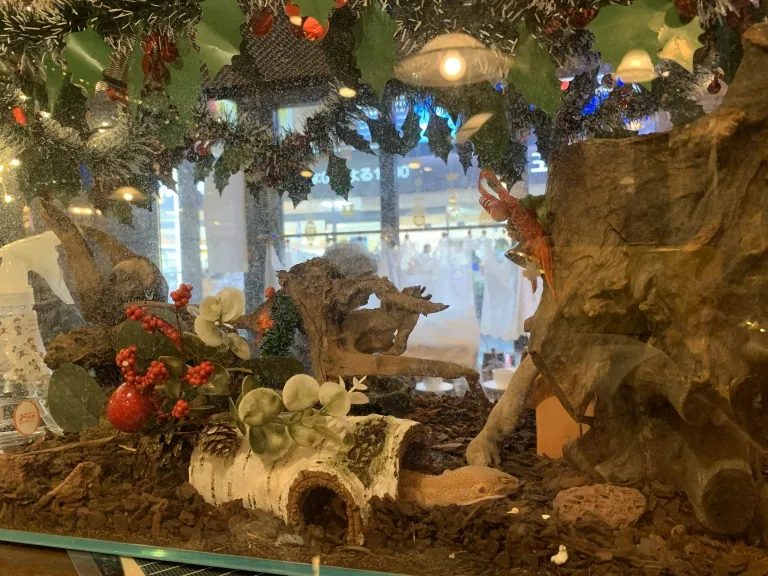 喫茶ドニエ　内観3