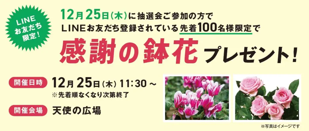 ドーチカ クリスマス