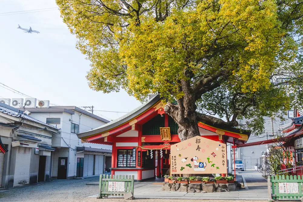 服部天神宮　大絵馬