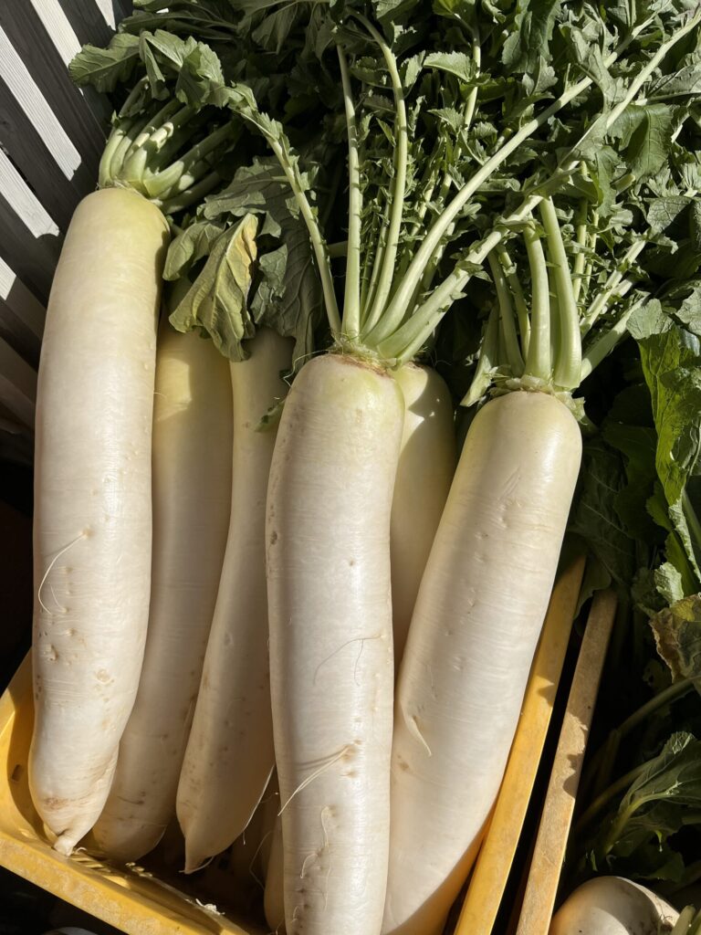 ハグカフェ 大根