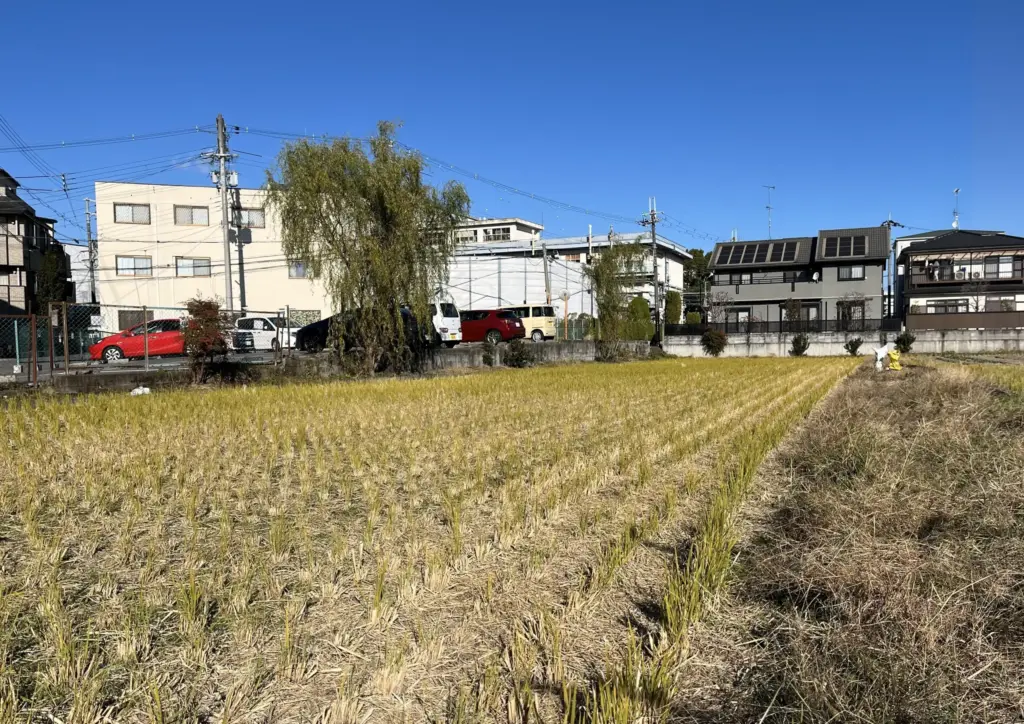 一里塚幼稚園 田んぼ