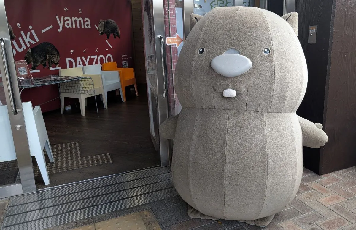 【12/23に決定！】池田・五月山動物園の新ウォンバット2頭の名前が発表されました