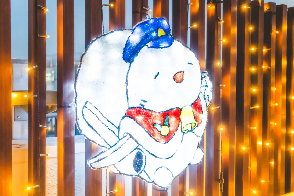 伊丹空港イルミネーションそらやん3