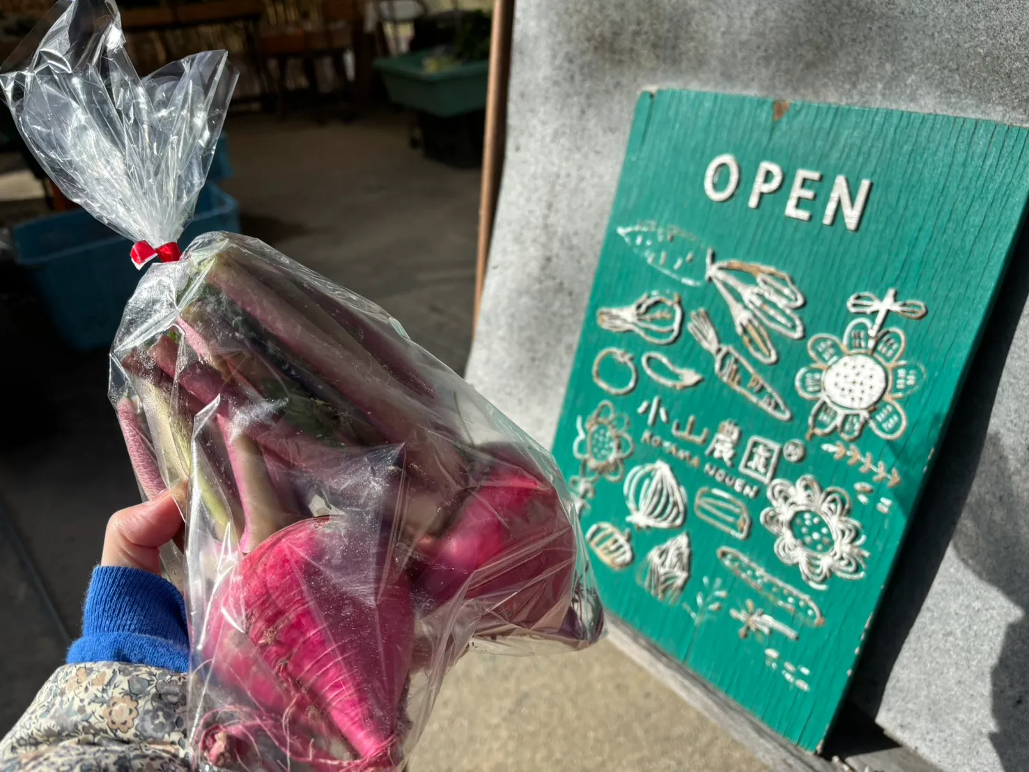 大山崎・円明寺のお野菜直売所 “小山農園” さんには採れたての冬野菜がいっぱい！！