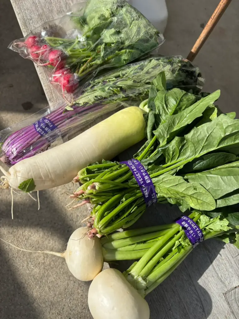 小山農園にて購入野菜