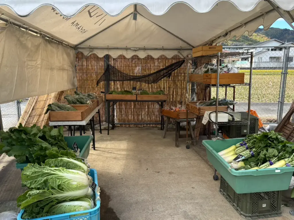 小山農園の売り場