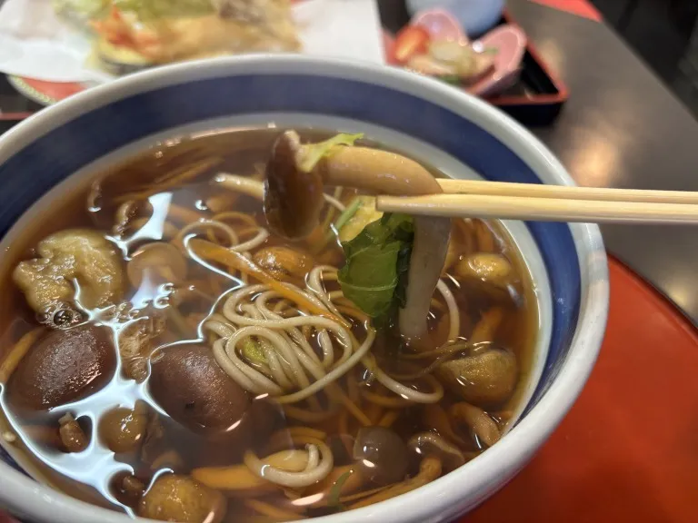 麺処水野すみよし 「いろいろキノコと焼きナス蕎麦」
